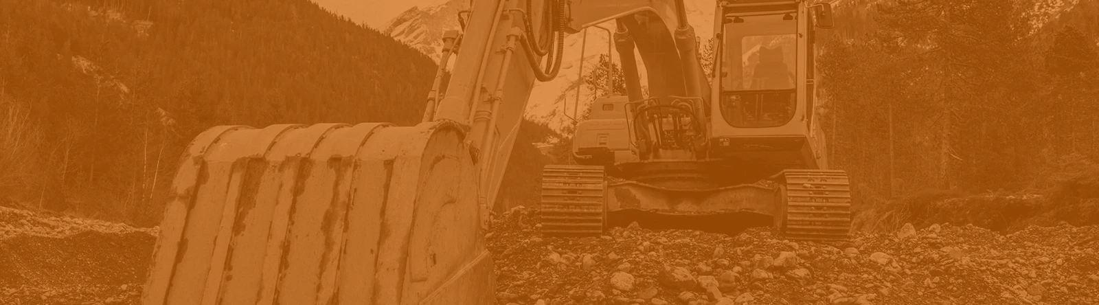 P&M Industry Experience